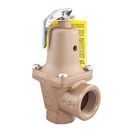 Raypak 007223F Pressure Relief Valve 75 PSI
