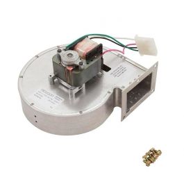 Raypak 008080F Ventor Assembly