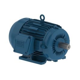 WEG Electric Corp 01018ET3E215T-W22 10HP 4-Pole Motor 213/5T Frame WFF2