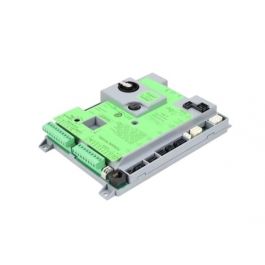 Raypak 019165F PIM Control