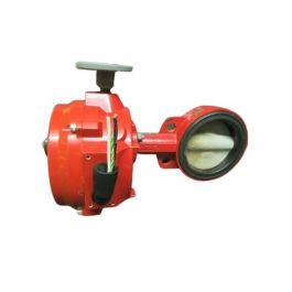 York 022-13035-001 5" SSV & Aligned Actuator Assembly