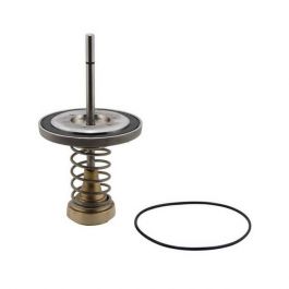 Watts 0794016 6" Fourth Check Repair Kit