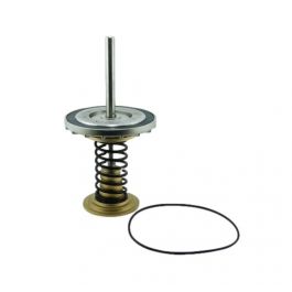 Watts 0794017 8" Fourth Check Repair Kit