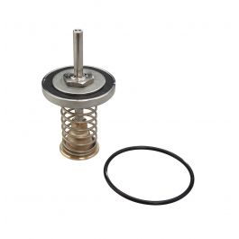 Watts 0794100 10" Lead Free First Check Repair Kit