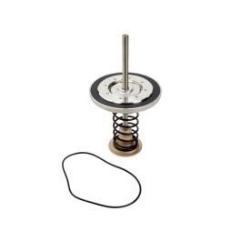 Watts 0794105 10" Check Valve Kit Lead Free CK#2