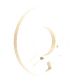 Lochinvar & A.O. Smith 100288597 Burner Plate Insulation Door