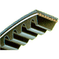 62" AX V-Belt Type AX60 Notched Bestorq