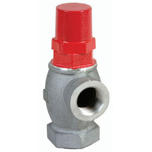 OPW 199ASV Anti Siphon Valve 2 in. NPT - 5 ft. To 10 ft.