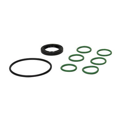 Pump Repair Kit Pentair Hypro 9915-KIT2204