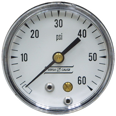 60 PSI Pressure 2" Dia. Dry Back Mount 1/4" NPT Plastic Gauge Versa