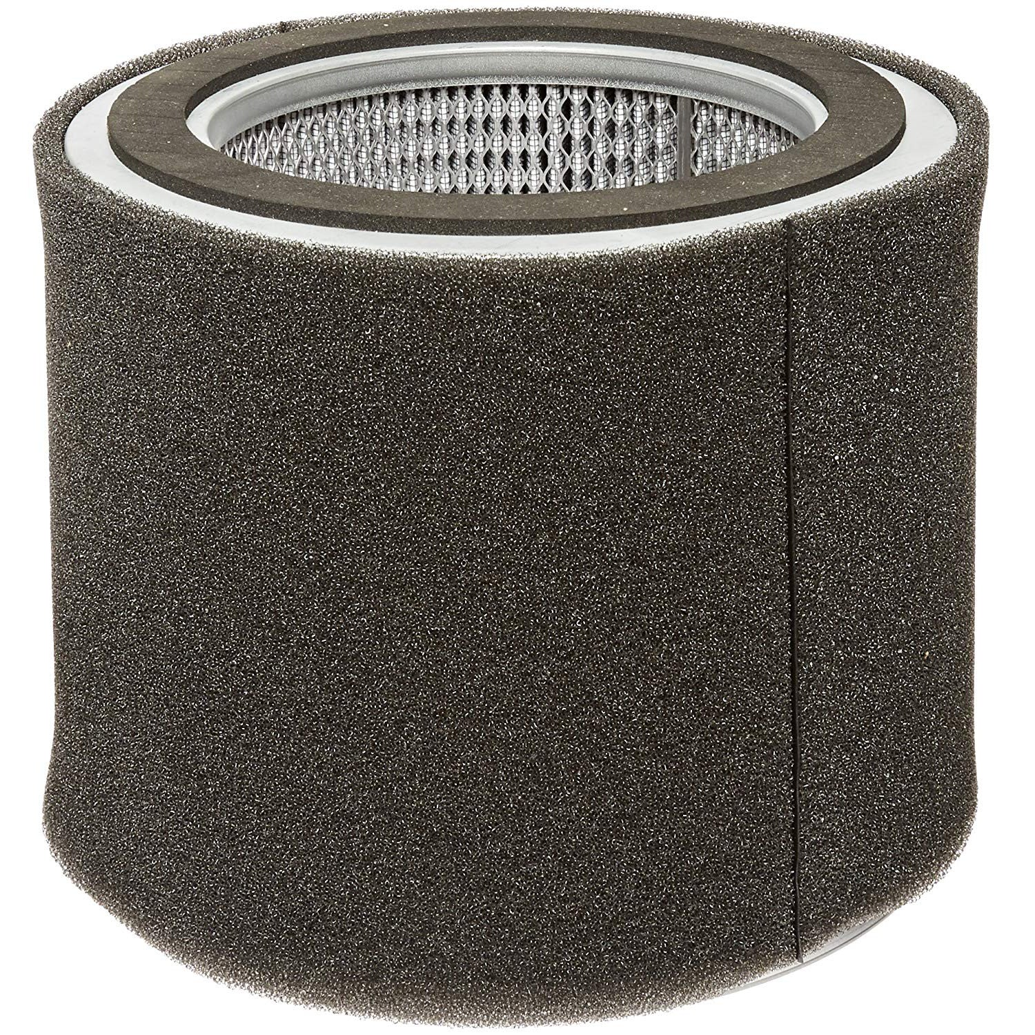 Solberg 275P Air Filter Element