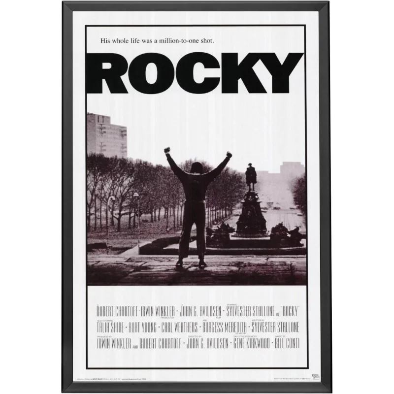27×41 Movie Poster Frame