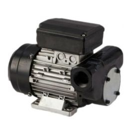 Webster 35196-5 15-Gallon Booster Pump