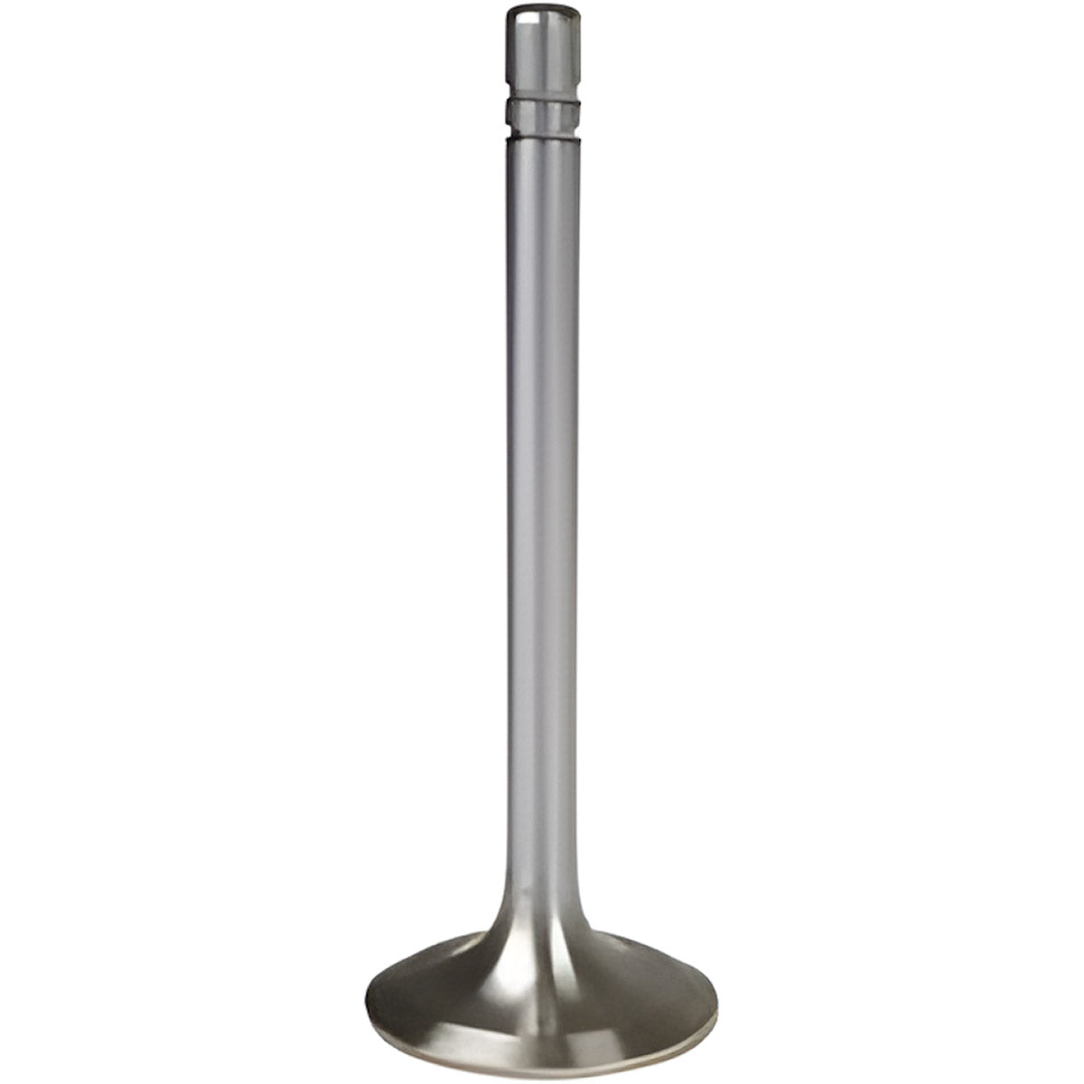 TISCO Exhaust Valve for Massey Ferguson, 739439M1