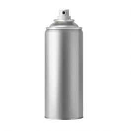 Burnham Boiler 81960002 Spray Paint 12 Oz Can