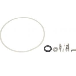 Armstrong Fluid Technology 8975000-98405K Mechanical Seal Kit W/13" Gasket