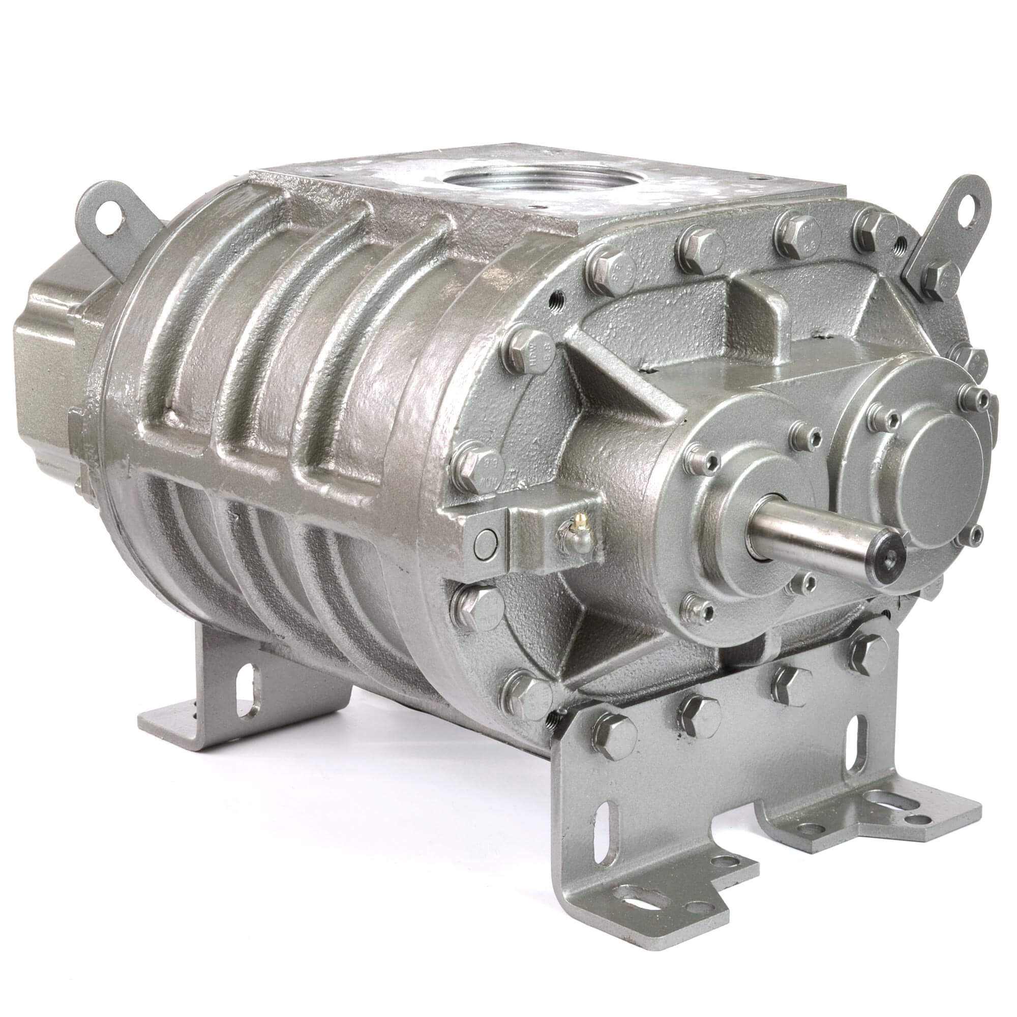 Eurus ZZ4L Positive Displacement Blower