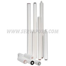 Harmsco Pleated Polysulfone Membrane Cartridge, 1.2 Micron, 19-1/2 Inch Length, Case of 6