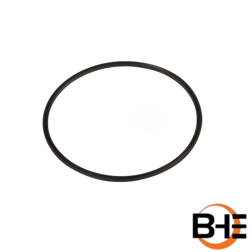 0501324512 Piston Packing (70032477) | ZF