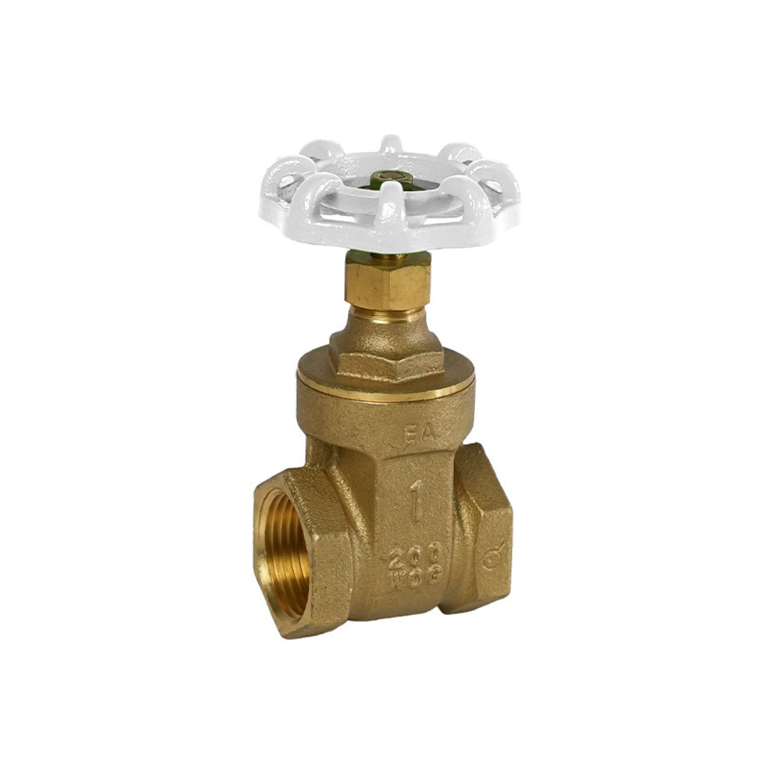 Jomar 103-303G 5 Pack - 1/2 Inch Threaded Connection Lead Free Brass Solid Wedge Gate Valves with Non-Rising Stem
