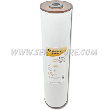 Pentek 155263, RFFE20-BB Radial Flow Iron Reduction, 4.5'' x 20''