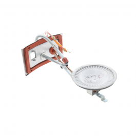 Rheem-Ruud AM51018 Burner/Door Assembly