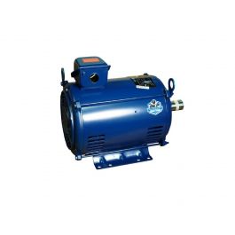Carrier HD62FX654 7-1/2HP Blower Motor 1766 RPM 230-460V/3PH