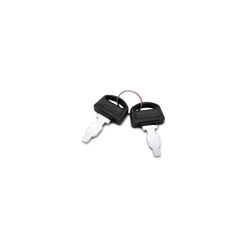 Ignition Key Spare Part for TWG210A 210 Amp Welder Generator