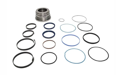 1001175775: JLG KIT,CYL HEAD/SEAL