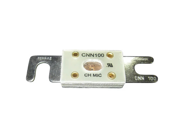 JLG Part # UP10148-002 | UP-FUSE, 100 AMP, EA