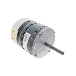 Trane MOT13981 Motor