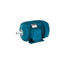 Trane MOT16177 1/3HP 6-Pole Motor 208-230V/1PH