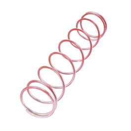 Maxitrol R210J10-1022 Red Spring 10–22″ WC 210J Regulator