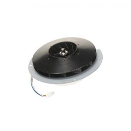 Rheem-Ruud RTG-20239-BL Blower Motor