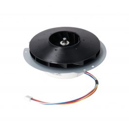Rheem-Ruud RTG20239BL Blower Motor