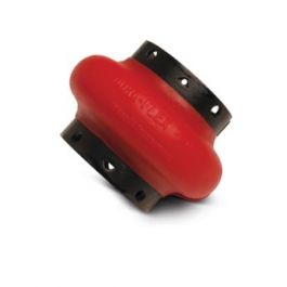 TB Woods WE30 Dura-Flex Standard Coupling Element