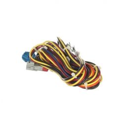 Trane WIR12895 Controls Wire Harness