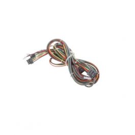 Trane WIR12975 Power & Modbus IDM Wire Harness