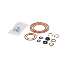Belimo ZG-GV60 Repack Kit for G2B G2S G3B Series Globe Valves